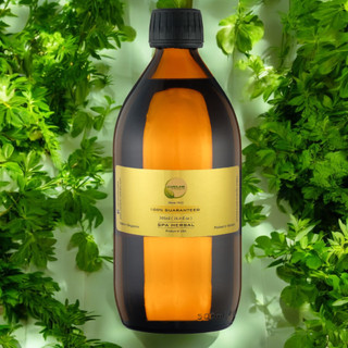 Tinh dầu nước hoa CAO CẤP CAROLINE - Big Size - Đa dạng mùi hương thơm sang chảnh của các hãng nước hoa lớn