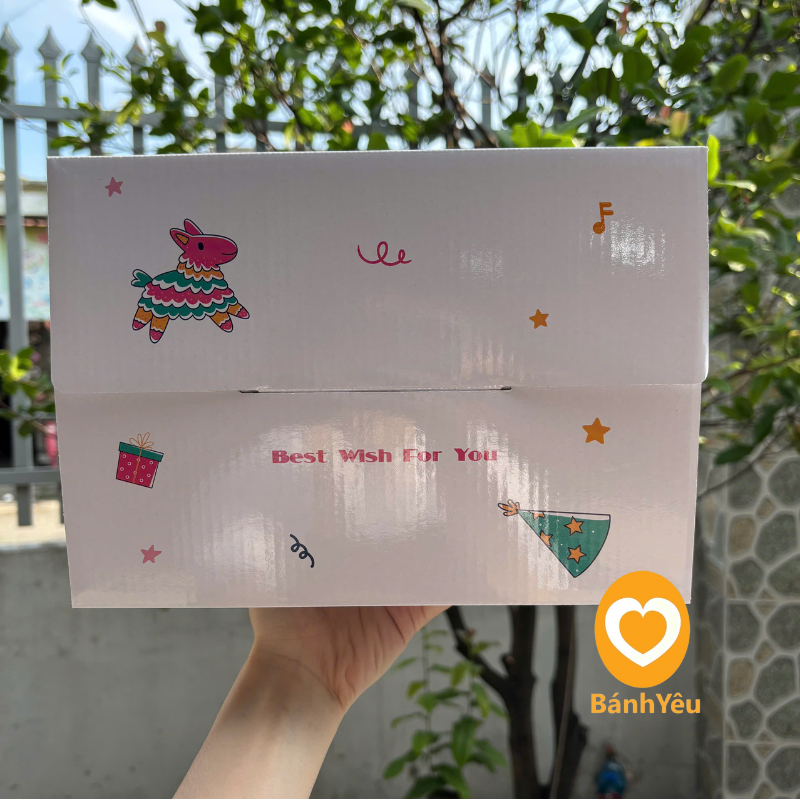 Hộp đựng bánh kem quai xách KÈM ĐẾ - Màu trắng họa tiết BB45