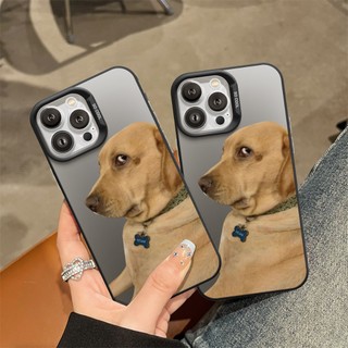 Ốp Lưng iPhone Chó Vàng Cute IMD, Chống Sốc, Bảo Vệ Camera - iP 7/8/X/XS/11/12/13/14/15/16/17/Plus/Pro/Max/Air