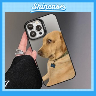 Ốp Lưng iPhone Chó Vàng Cute IMD, Chống Sốc, Bảo Vệ Camera - iP 7/8/X/XS/11/12/13/14/15/16/17/Plus/Pro/Max/Air