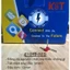 Đầu cos pin rỗng KST (E), cốt kim rỗng bằng đồng bấm dây điện MCB, ổ điện (dây 0.75-10mm)