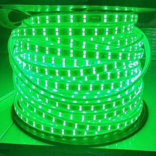 [Bán giá sỉ] Led dây 220V 2 hàng bóng - bọc chống nước - Trắng - Vàng - Dương - Lá - Hồng trang trí trần, quấn thân cây