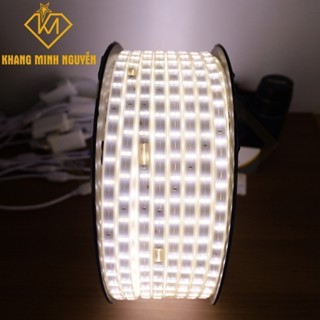 [Bán giá sỉ] Led dây 220V 2 hàng bóng - bọc chống nước - Trắng - Vàng - Dương - Lá - Hồng trang trí trần, quấn thân cây