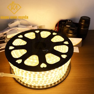 [Bán giá sỉ] Led dây 220V 2 hàng bóng - bọc chống nước - Trắng - Vàng - Dương - Lá - Hồng trang trí trần, quấn thân cây