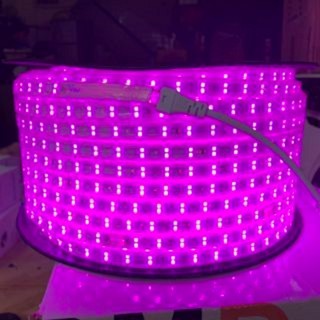 [Bán giá sỉ] Led dây 220V 2 hàng bóng - bọc chống nước - Trắng - Vàng - Dương - Lá - Hồng trang trí trần, quấn thân cây
