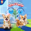 Hạt Smartheart (0.4g-1.5kg) Cho Chó Mọi Lứa Tuổi - Dry Dog Food