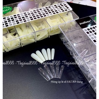 Móng Úp Lẻ Số 5.6.7.8.9 Hộp Form Cơ Bản | Móng Giả Vuông, Nhọn, Thang, Nhám, Đục
