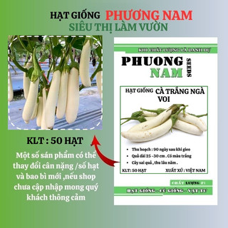 50 Hạt - Hạt Giống Cà Trắng Ngà Voi Phương Nam