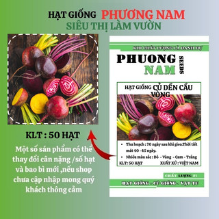 50 Hạt - Hạt Giống Củ Dền Cầu Vòng Phương Nam