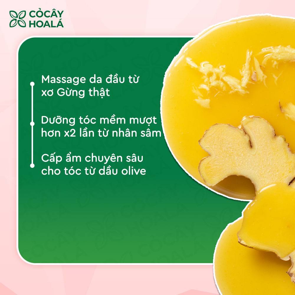 Ảnh Combo Dầu Gội Xả Thảo Dược Gừng Sả Cỏ Cây Hoa Lá Ngăn Tóc Bết Dầu 500g 4