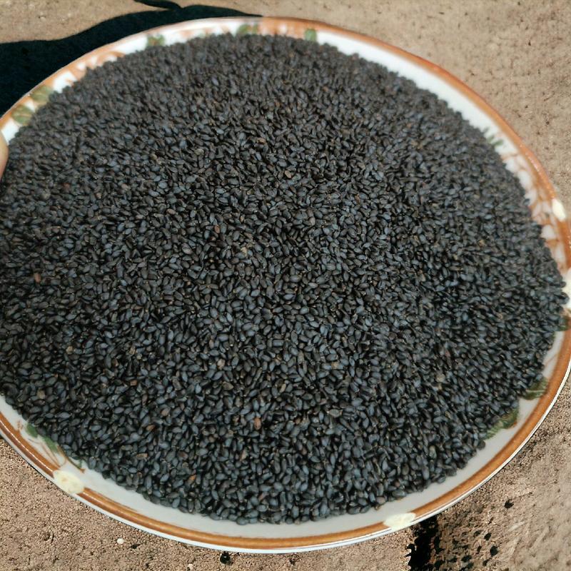 Hạt É Chế Biến Thức Uống Cao Cấp - 500g