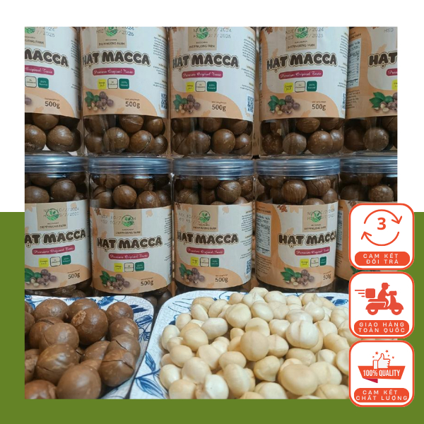 Hạt Mắc Ca Nứt Vỏ Hạt To Cao Cấp - 500g