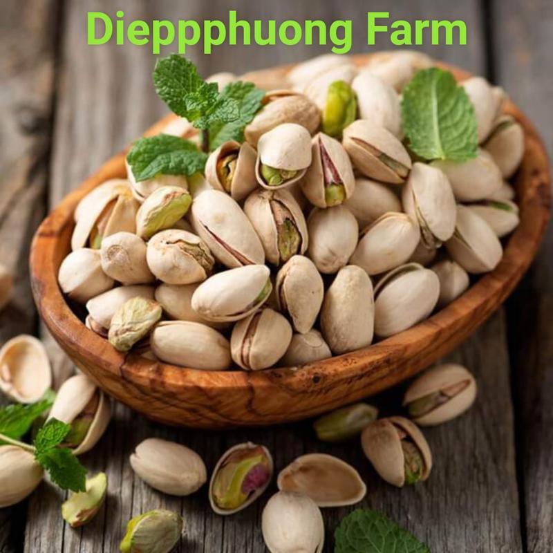 (hộp tròn)Hạt Dẻ Cười Nâu Không Tẩy Cao Cấp