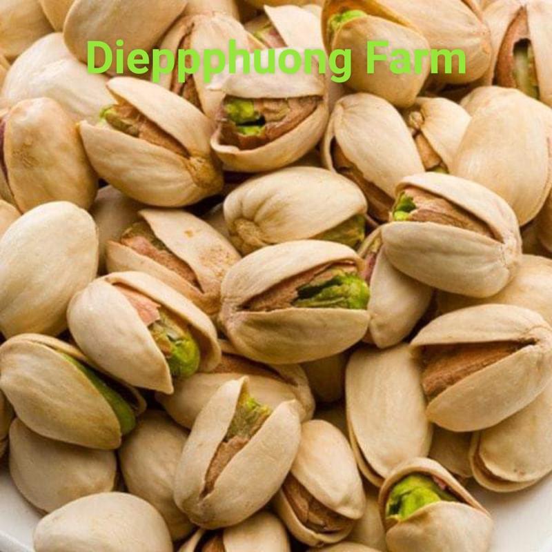 (hộp tròn)Hạt Dẻ Cười Nâu Không Tẩy Cao Cấp