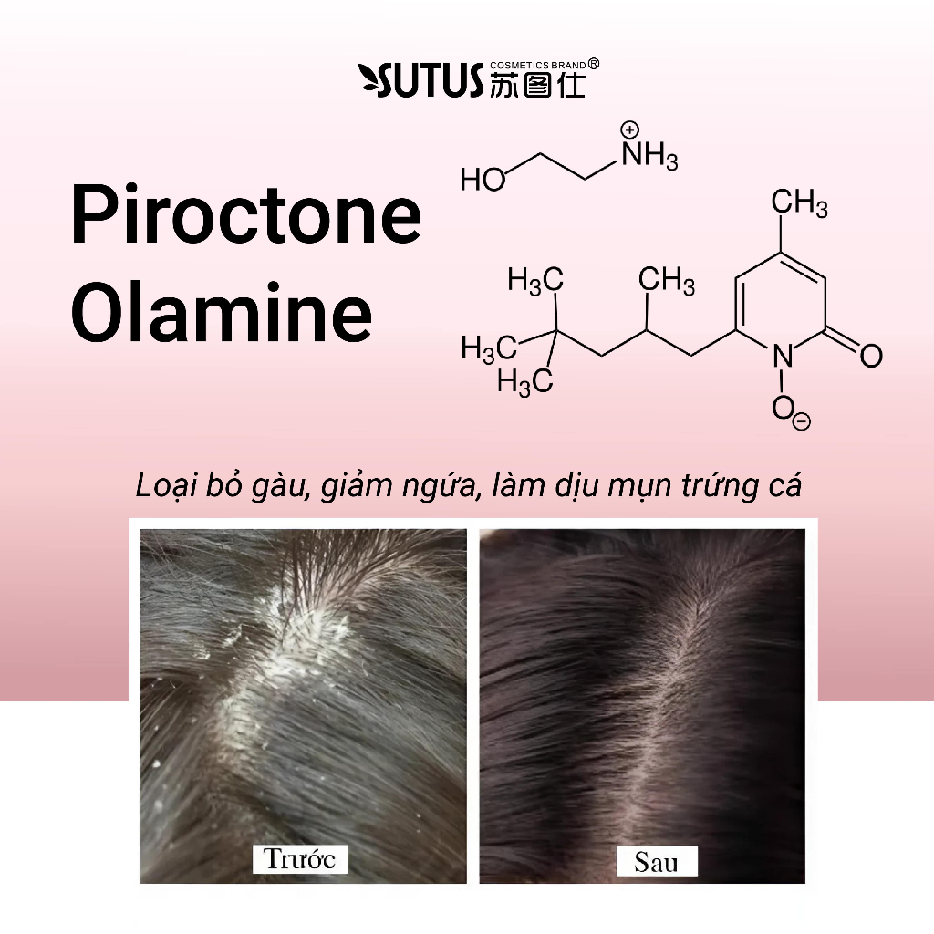 Dầu gội chăm sóc tóc gàu, nấm ngứa, giảm rụng tóc - Sutus Anti dandruff