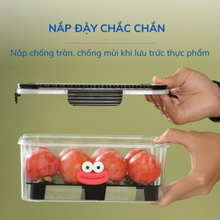 Hộp Đựng Thực Phẩm Có Quai Xách, Hộp Cơm Trưa Dã Ngoại Hình Cua Cute Giữ Nhiệt Tốt