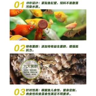 Cám Dán Biozym Tropical Fish Food - Giầu Đạm - Cung Cấp Đầy Đủ Chất Dinh Dưỡng Cho Cá