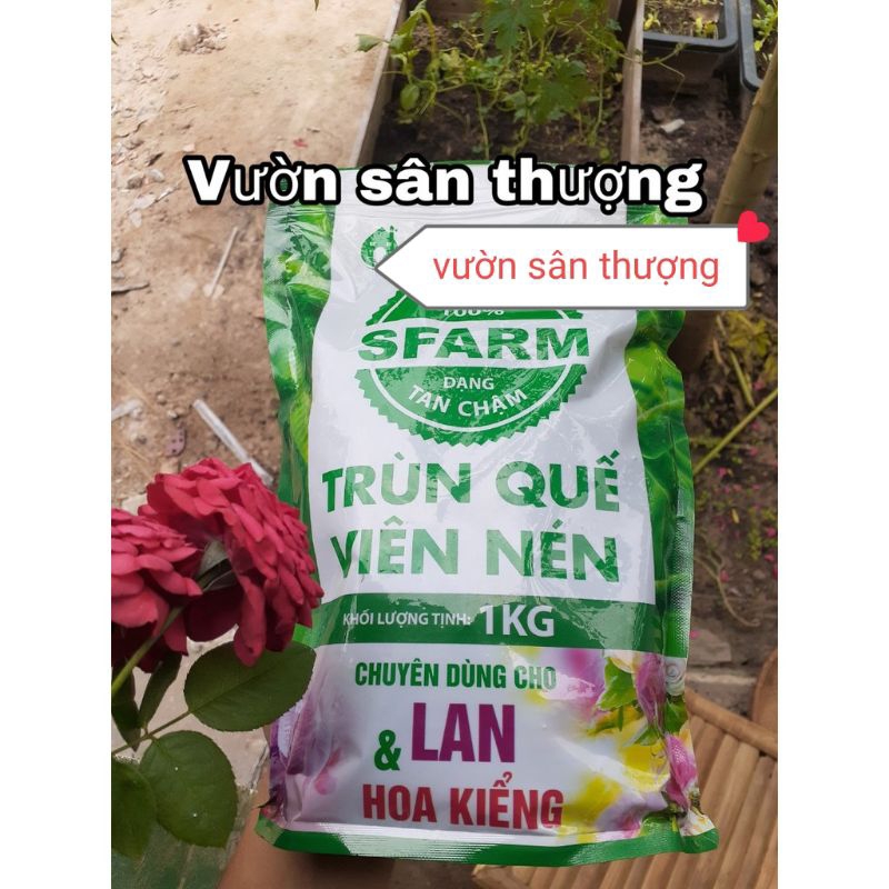 Phân Trùn Quế Viên Nén, Sfarm Đặng Gia Trang Tan Chậm Gói 1 kg Kích Chồi, Tạo Rễ, Hệ Vi Sinh Có Lợi cho Lan, Cây, Hoa