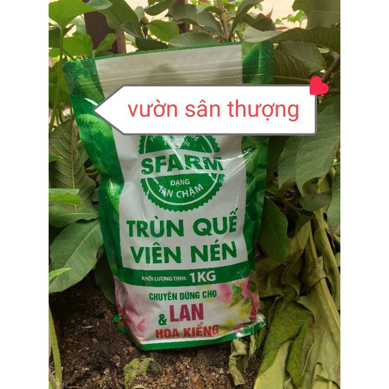 Phân Trùn Quế Viên Nén, Sfarm Đặng Gia Trang Tan Chậm Gói 1 kg Kích Chồi, Tạo Rễ, Hệ Vi Sinh Có Lợi cho Lan, Cây, Hoa