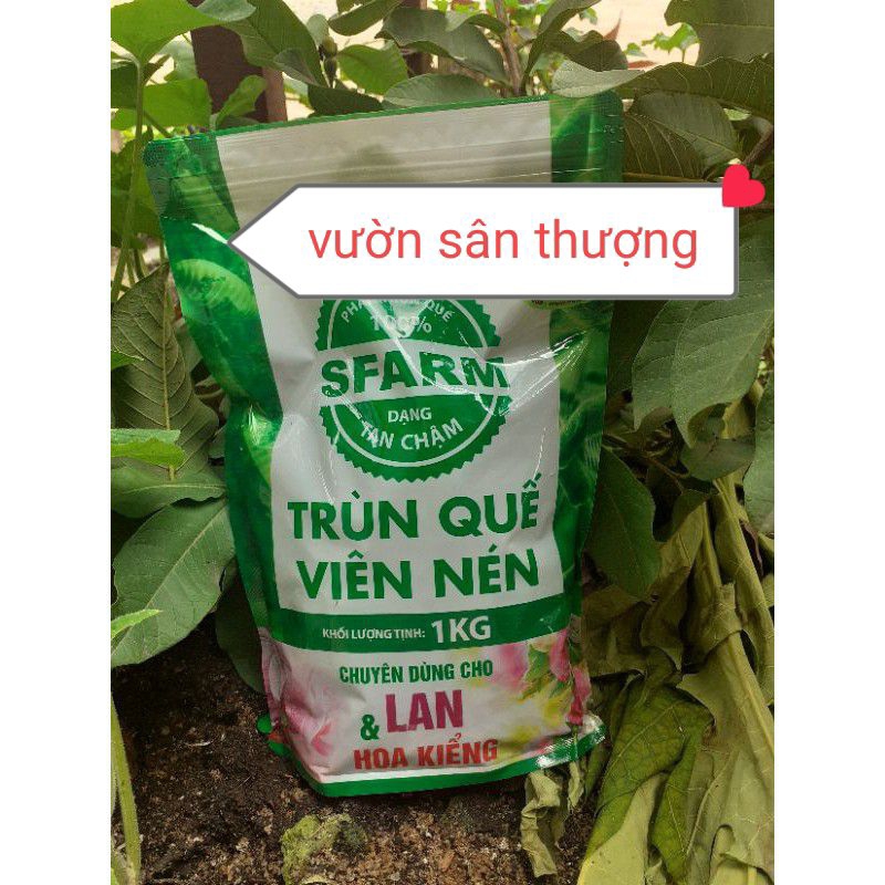 Phân Trùn Quế Viên Nén, Sfarm Đặng Gia Trang Tan Chậm Gói 1 kg Kích Chồi, Tạo Rễ, Hệ Vi Sinh Có Lợi cho Lan, Cây, Hoa