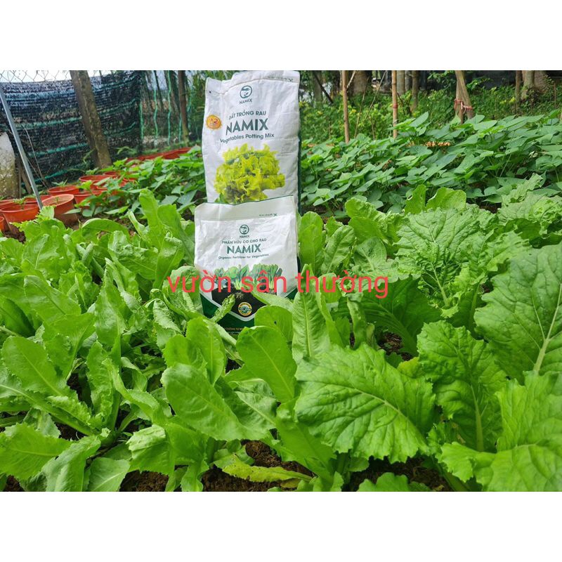 Namix Đất Sạch Trồng Rau, Củ Quả, Cây Cảnh 20dm3