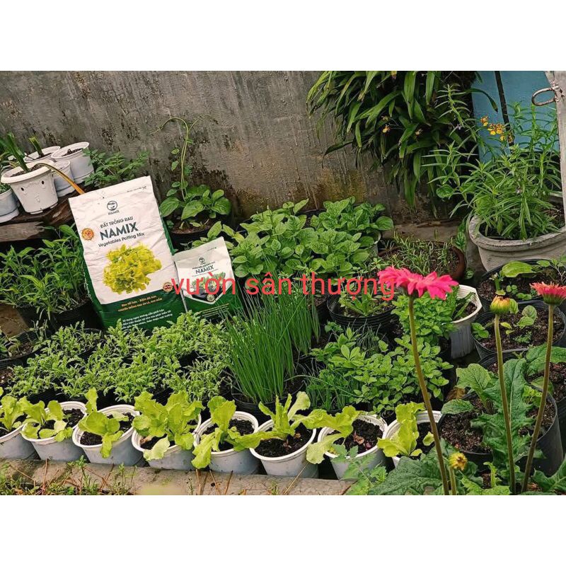 Namix Đất Sạch Trồng Rau, Củ Quả, Cây Cảnh 20dm3