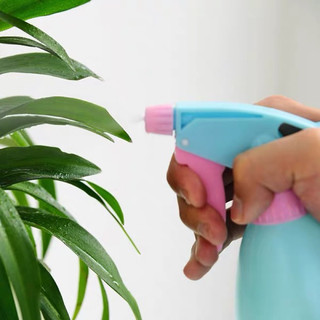 Bình tưới cây phun sương dạng xịt 500ml có thể phun tia hoặc phun sương tiện dụng tưới hoa cây cảnh,xịt lau kính