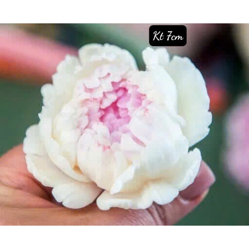 Khuôn hoa Anh Thảo nhỏ