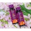HECTOR Collagen Plus - Nước Nấm Đông Trùng Hạ Thảo Ngăn Ngừa Lão Hoá, Nám Da và Tăng Độ Đàn Hồi Da (Màu Tím)