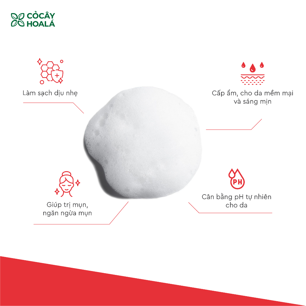Ảnh Sữa Rửa Mặt Tạo Bọt Đậu Đỏ Cỏ Cây Hoa Lá 150g Giúp Làm Sạch Dịu Nhẹ, Mềm Mại, Sáng Mịn 4