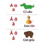 Bộ học liệu Montessori giúp nhận biết chữ cái Tiếng Anh và Tiếng Việt