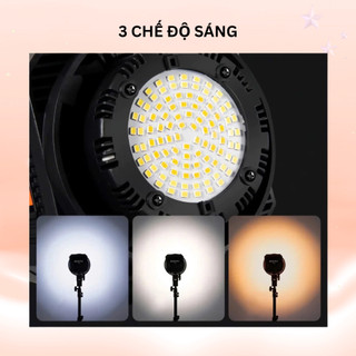 Đèn Livestream Idol Softbox Tổ Ong 70cm, Chân Cao Cấp Tạo Chiều Sâu Cho Studio,Chụp Ảnh Sản Phẩm Chuyên Nghiệp