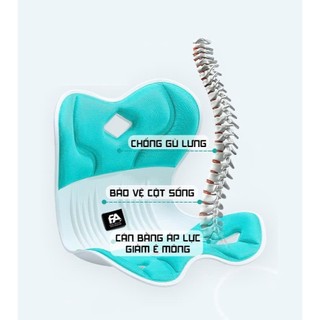 (Giá huỷ diệt) Ghế Công Thái Học Chính Hãng FA-Ghế Chỉnh Dáng phiên bản mới, Thiết Kế Chống Gù Hiệu Quả