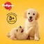 PEDIGREE Tasty Bites Bánh thưởng cho chó con dạng xương gặm – Vị Gà và Rau Củ - 50g