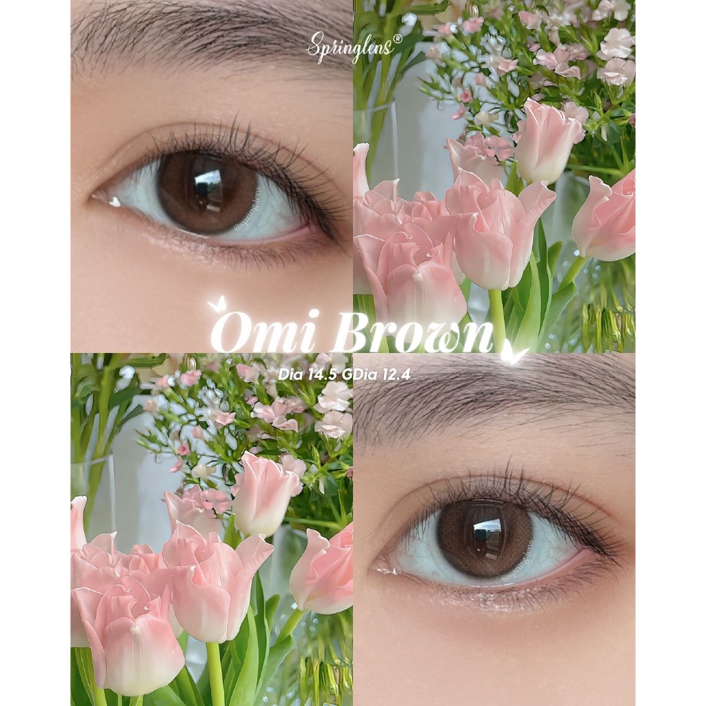 Kính áp tròng tự nhiên Omi Brown nâu hồng da không giãn SIlicone Hydrogel 1 tháng | Spring Lens