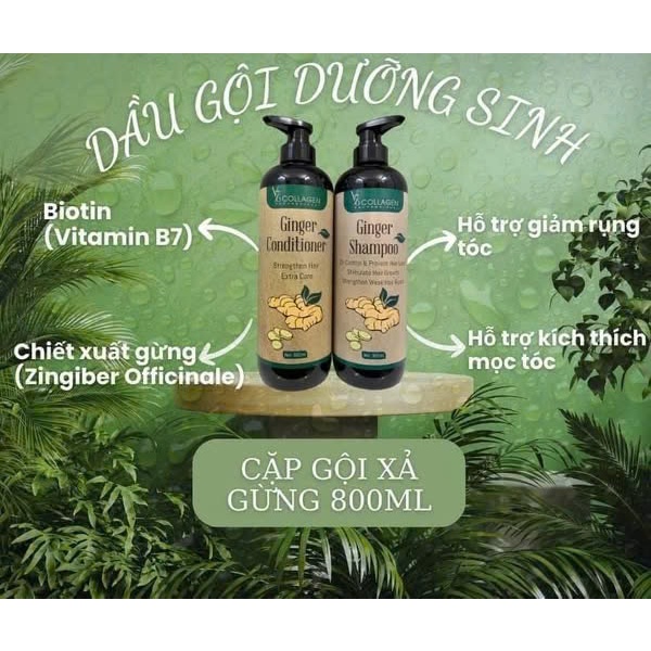 CẶP GỘI Xả GỪNG V76 COLLAGEN Kích mọc Tóc 800ml