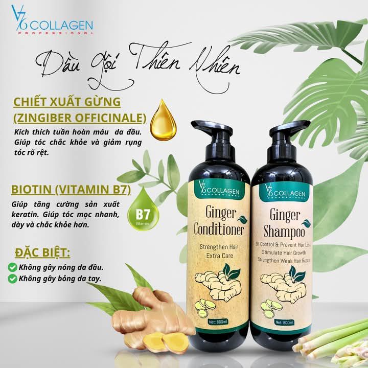 CẶP GỘI Xả GỪNG V76 COLLAGEN Kích mọc Tóc 800ml