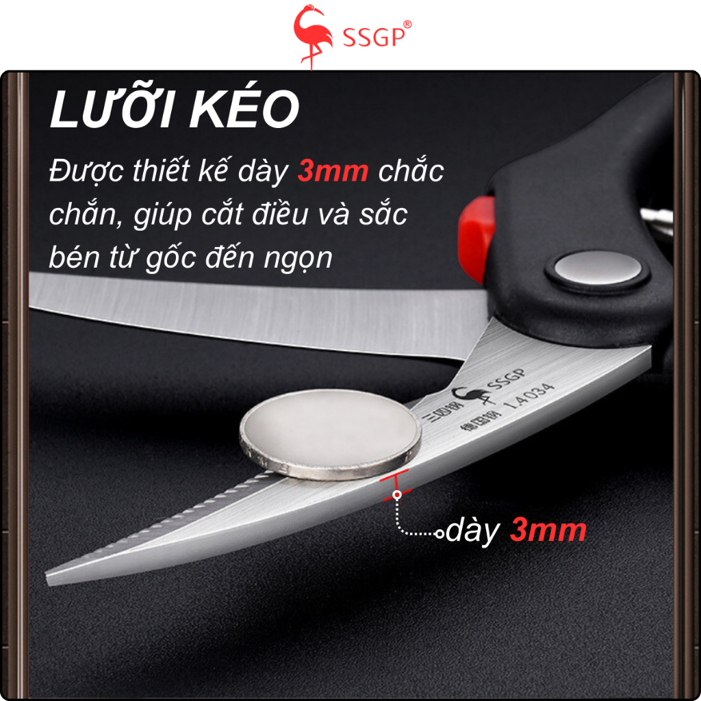 Kéo Berlin nấu ăn làm bếp thép không rỉ SSGP của  SS02801, thép  1.4116, kéo cắt gà
