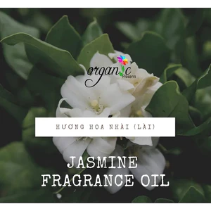 HƯƠNG NHÀI / LÀI (JASMINE) – NGUYÊN LIỆU LÀM MỸ PHẨM 🌸 Dung tích: 5ml / 10ml / 25ml / 50ml