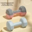 Tạ Tập Gym Tại Nhà Cho Nữ Chất Liệu Bê Tông Bọc Nhựa Chống Xước Vỡ Sàn Cân Nặng Từ 1-3kg