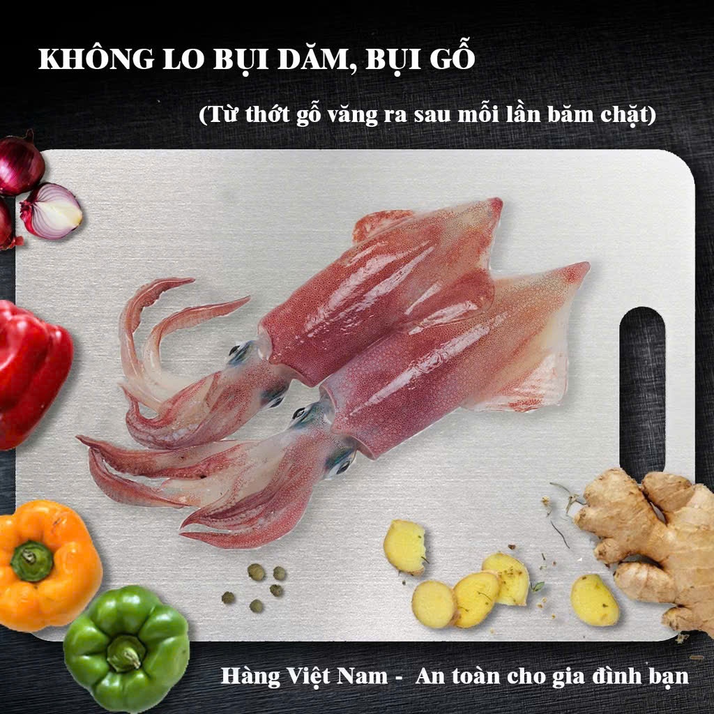 Thớt Inox 304 Vệ Sinh Nhanh Chống Bám Bẩn,Thớt Kháng Khuẩn Tiện Lợi 20x29cm - THỚT INOX CAO CẤP CHỐNG MÙI KHÁNG KHUẨN