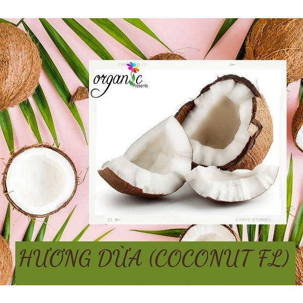 HƯƠNG DỪA NGUYÊN LIỆU – DÙNG CHO MỸ PHẨM & THỰC PHẨM