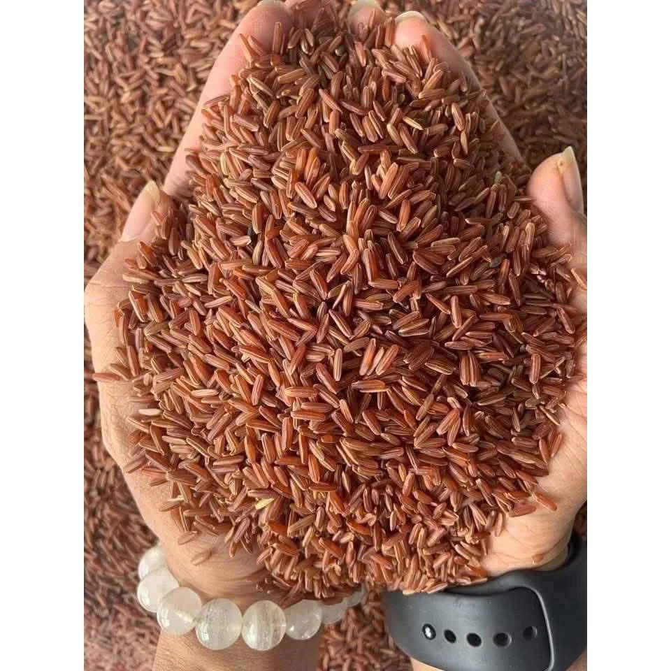 Gạo Lứt Huyết Rồng (LOẠI NGON) 1 KG - Gạo Lứt Đỏ Huyết Rồng Ăn Kiêng Giảm Cân