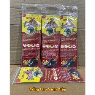 Lót Giày Hương Quế, Lót Giầy Khử Mùi Hôi Hiệu Quả