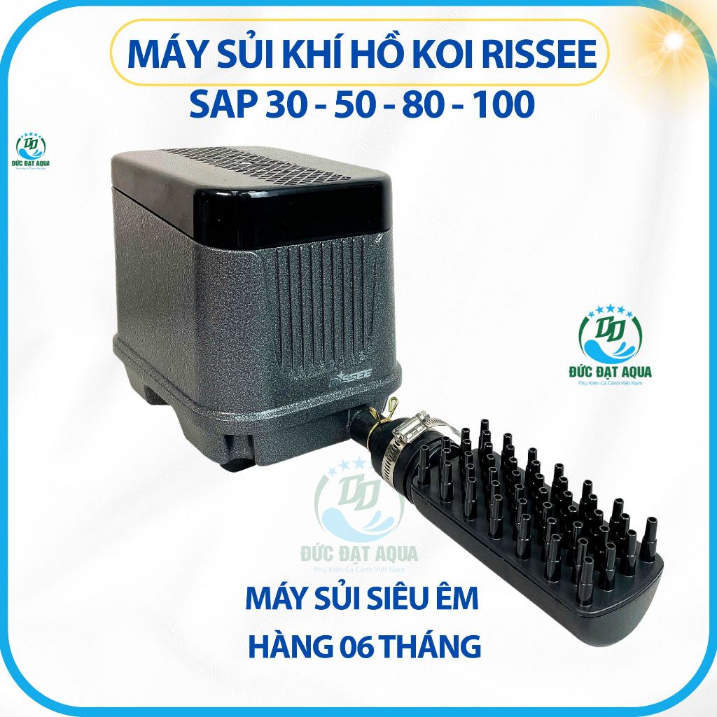 Máy Sủi Khí oxy Hồ Koi Rissee SAP 30 - 50 - 80 - 100, siêu êm bảo hành 6 tháng 5