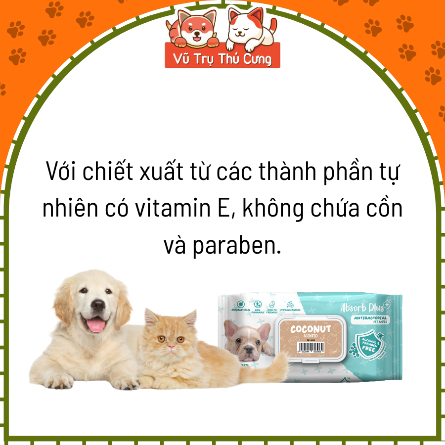 Khăn Giấy Ướt Kháng Khuẩn Vệ Sinh Cho Chó Absorb 80 Miếng