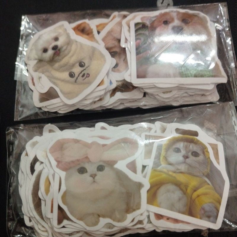50 sticker chó mèo | Shopee Việt Nam