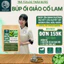Trà Búp ổi Giảo cổ lam- DIỆP CHI- Giúp ổn định đường huyết và huyết áp, giảm cân an toàn- 30 túi lọc