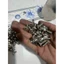 Ốc inox 304 salaya mẫu thái 5ly 6ly lắp dan áo các loại xe máy (giá 5con)