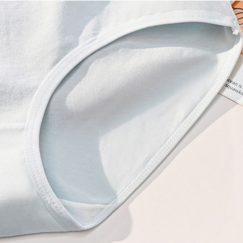 Quần lót cotton nữ cao cấp dày dặn thoáng khí đáy lót 2 lớp chắc chắn kiểu dáng basic LANIXA L4111